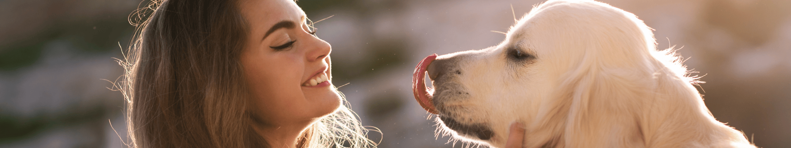 Banner Weekendje weg met hond